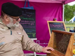 Meet the Adnams Bees - Adnams PLC