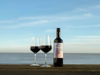 Chile's Hidden Gem - Adnams PLC
