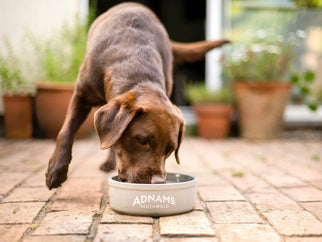 We want to see your dogs - Adnams PLC