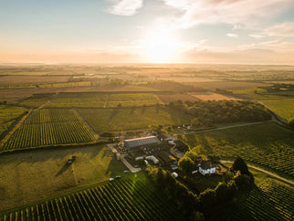 English-Wine-Week-with-New-Hall-Wine-Estate Adnams PLC