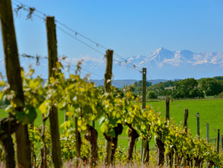 Get-together-with-Plaimont-wines Adnams PLC