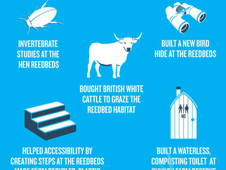 How Adnams carrier bag sales have helped wildlife infographic - Adnams PLC
