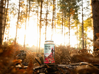 Rebranding Mosaic Pale Ale. Where the forest meets the beach. - Adnams PLC