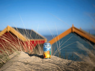 Rebranding Dry Hopped Lager. A day on the beach. - Adnams PLC