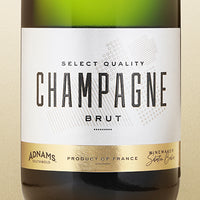 fresh and citrusy