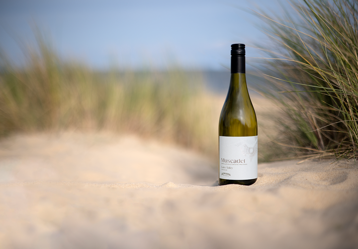 Elegant, fresh, and lively.