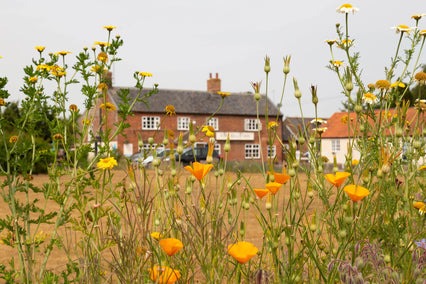 The Five Bells - Adnams PLC