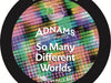 So Many Different Worlds - new collaboration beer out now - Adnams PLC