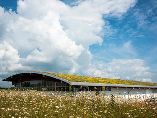 Now you see us - 20 years of the Adnams Distribution Centre