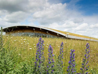 Earth Day 2021 - Adnams PLC