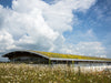 Picture of the Reydon Distribution center green roof