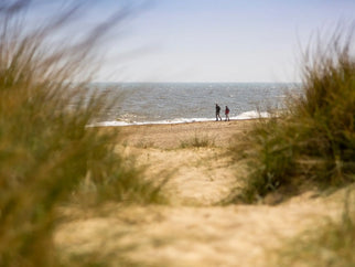 Seasonal strolls with strategic Adnams pitstops Adnams PLC