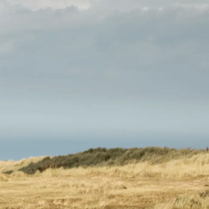 Adnams Selection - Adnams PLC