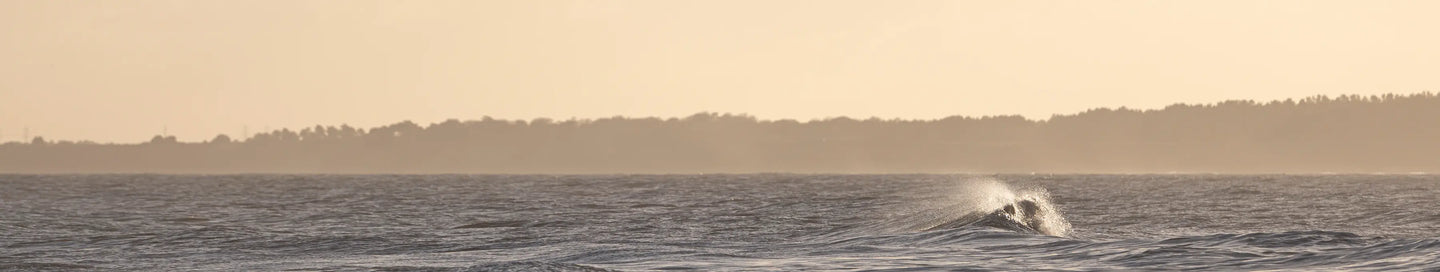 Beer-Gifts Adnams PLC