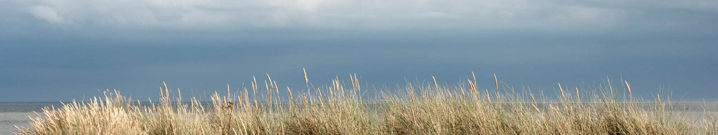 Bitburger - Adnams PLC