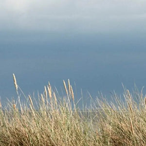 Bitburger - Adnams PLC