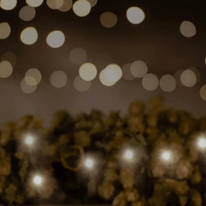 Black Friday - Adnams PLC