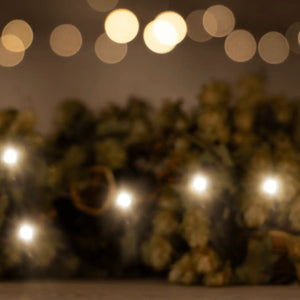 Christmas Cases & Collections - Adnams PLC