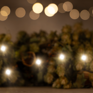 Christmas Gifts - Adnams PLC