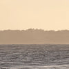 Congratulations! - Adnams PLC