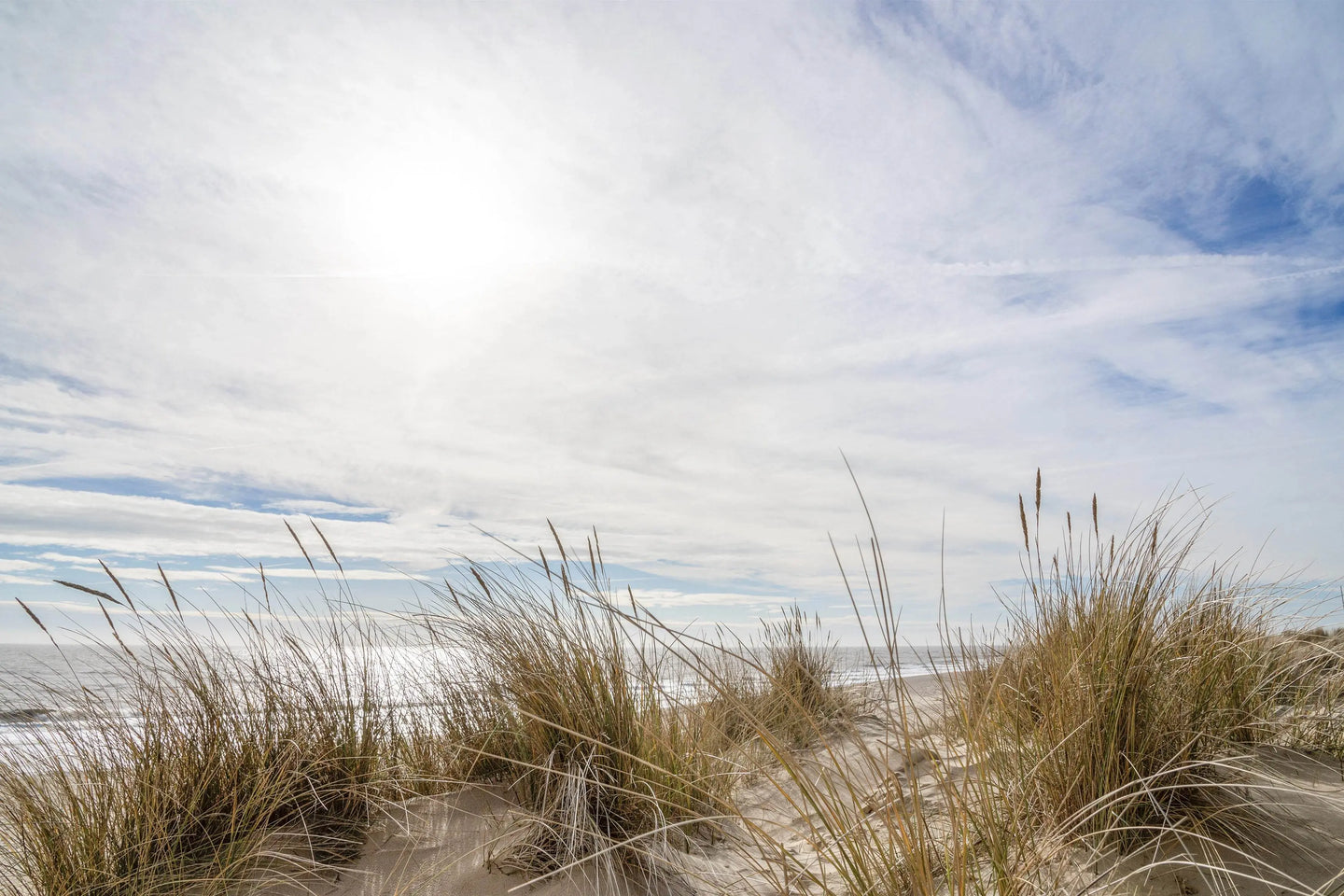 Essentials - Adnams PLC