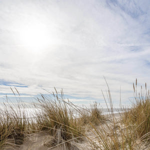 Essentials - Adnams PLC