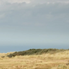 Father's Day Gifts - Adnams PLC