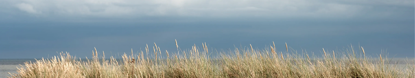 Gifting-at-Adnams Adnams PLC