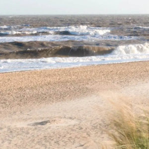 Gifts Under £100 - Adnams PLC