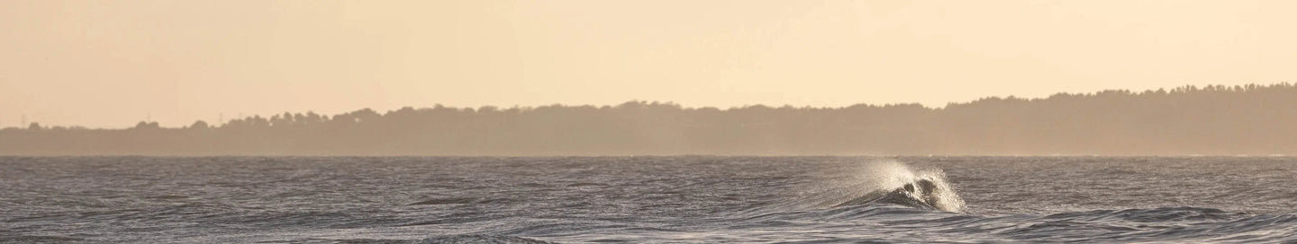 Gifts over £100 - Adnams PLC