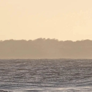 Gifts over £100 - Adnams PLC