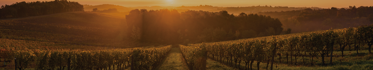 Private-Cellar Adnams PLC