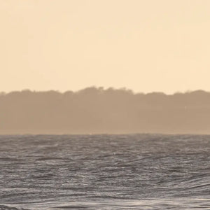 Prosecco - Adnams PLC