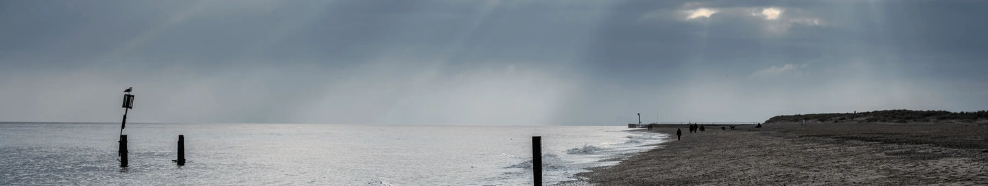 Seasonal Spirits Offers - Adnams PLC