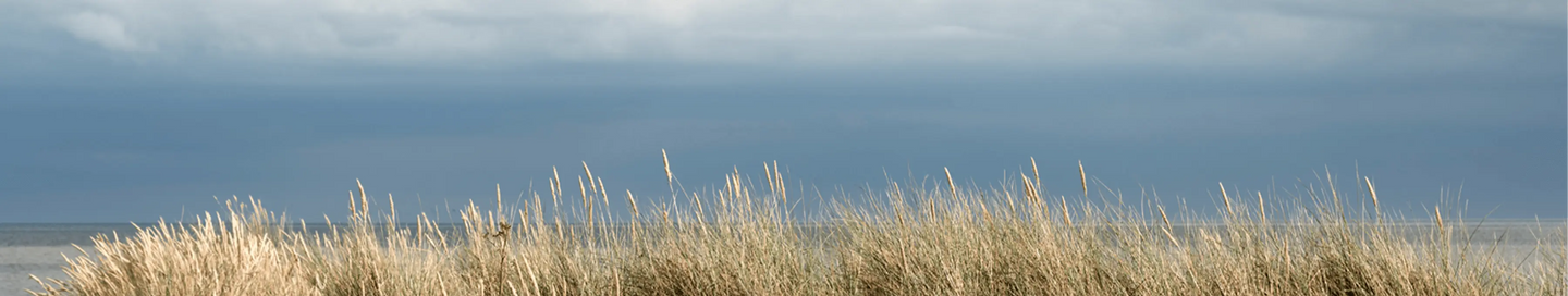 Spirit Gifts - Adnams PLC