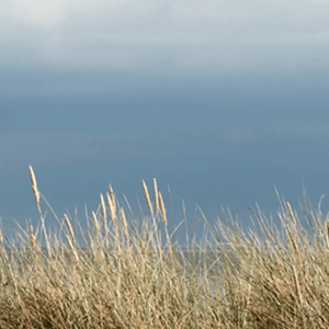 Spirit Gifts - Adnams PLC