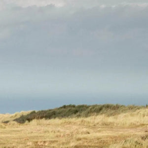 Spirits - Adnams PLC