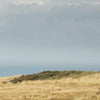 Spring Wine Selection - Adnams PLC