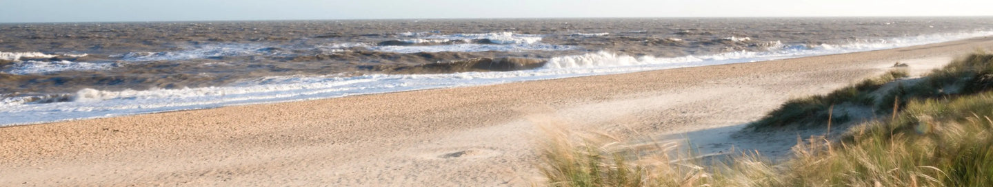 Wines for your Easter Roast - Adnams PLC