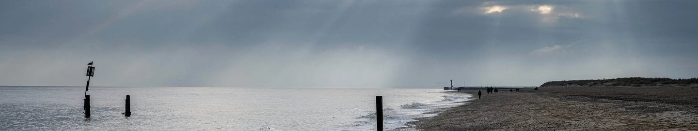 Winter Wine Cases - Adnams PLC