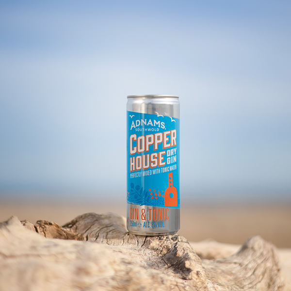 Copper House Dry Gin & Tonic Cans