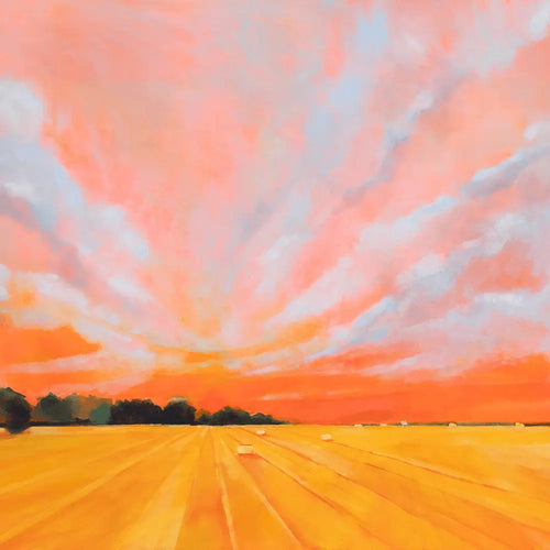 Big Skies Cans - Adnams PLC