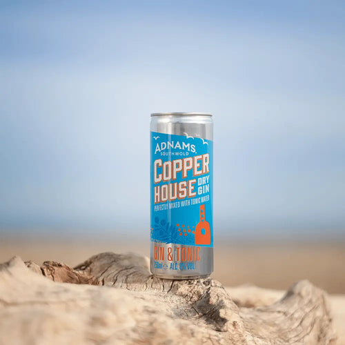 Copper House Dry Gin & Tonic Cans - Adnams PLC