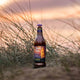 Ghost Ship 0.5% Pale Ale Bottles - Adnams PLC