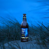 Ghost Ship 4.5% Pale Ale Bottles - Adnams PLC