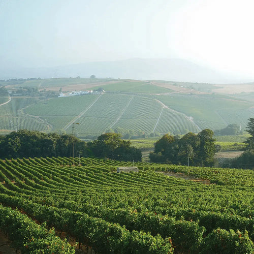 Quinta Vista Rosé, Portugal - Adnams PLC