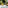 Greywacke Vineyards Pinot Noir, Marlborough, New Zealand - Adnams PLC