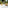 Pol Roger Blanc de Blancs Champagne Brut 2015 - Adnams PLC