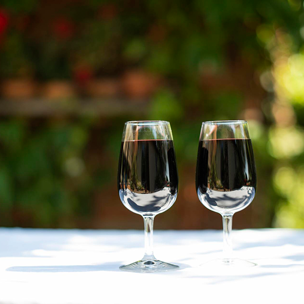 Two glasses of wine on a picnic table
