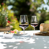 Red wine in an elegant glass on a picnic table in summer